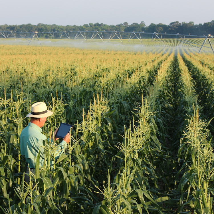 Farmers are irrigating smarter